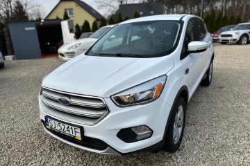 NISKI przebieg 2017r benzyna Biala